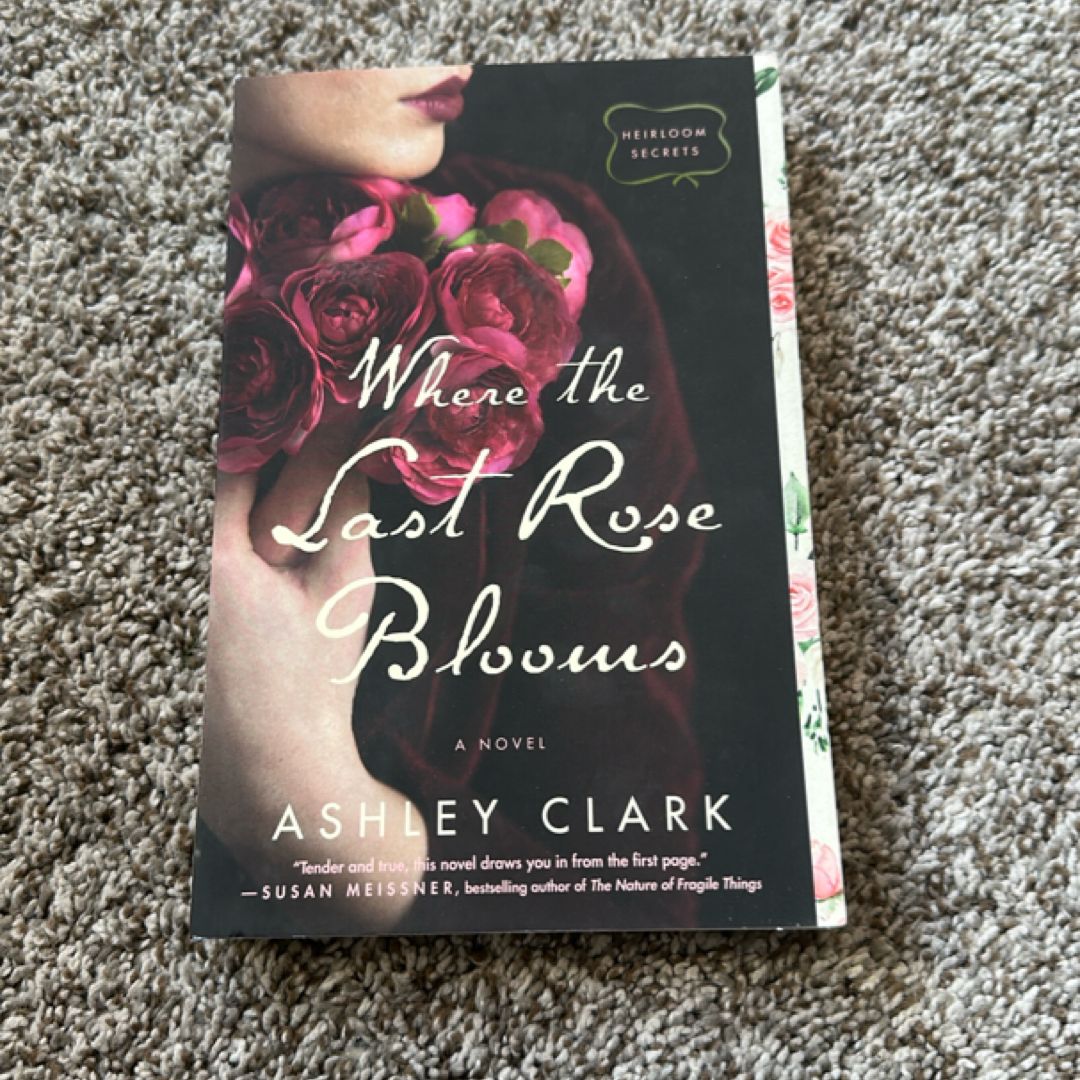 Where the Last Rose Blooms