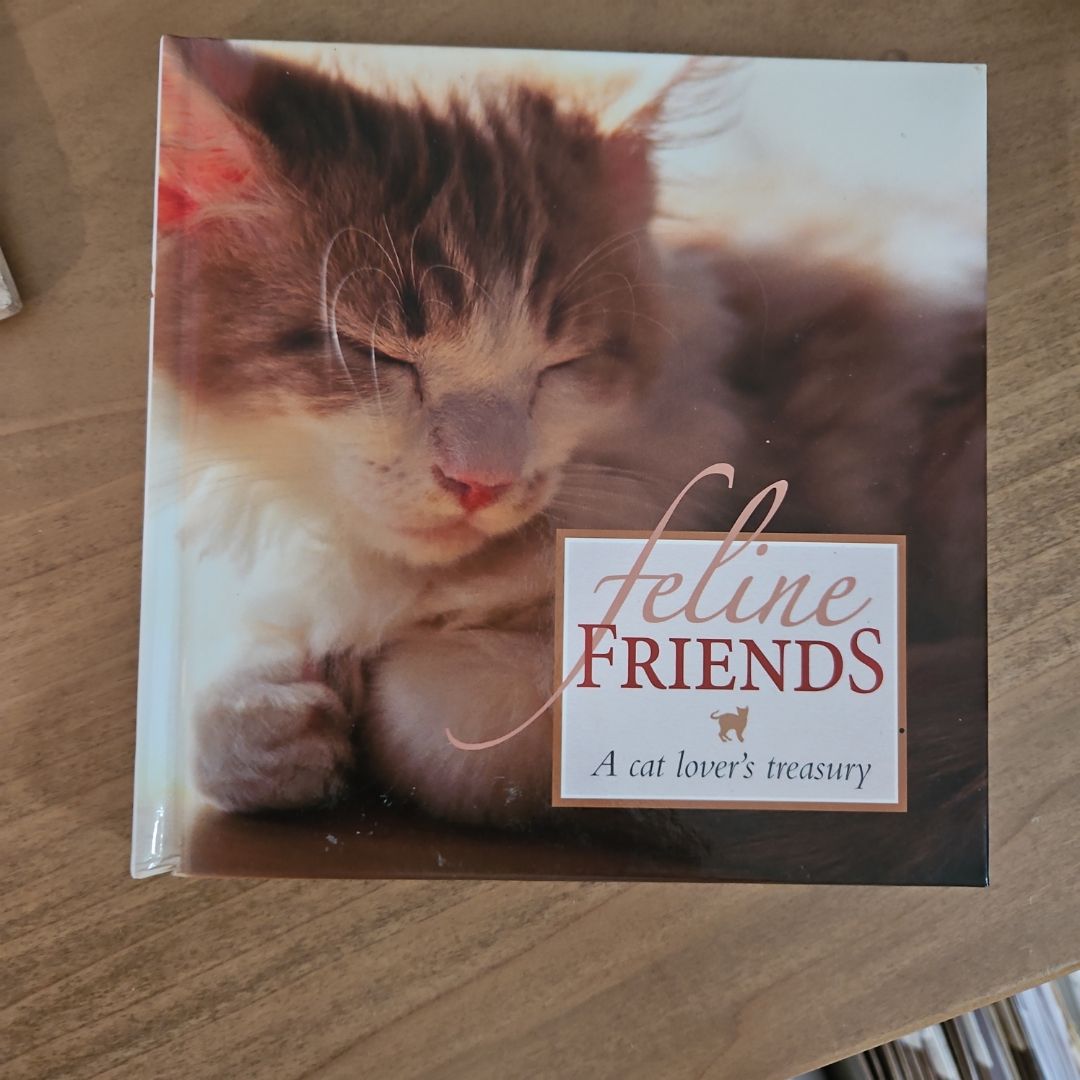 Feline Friends