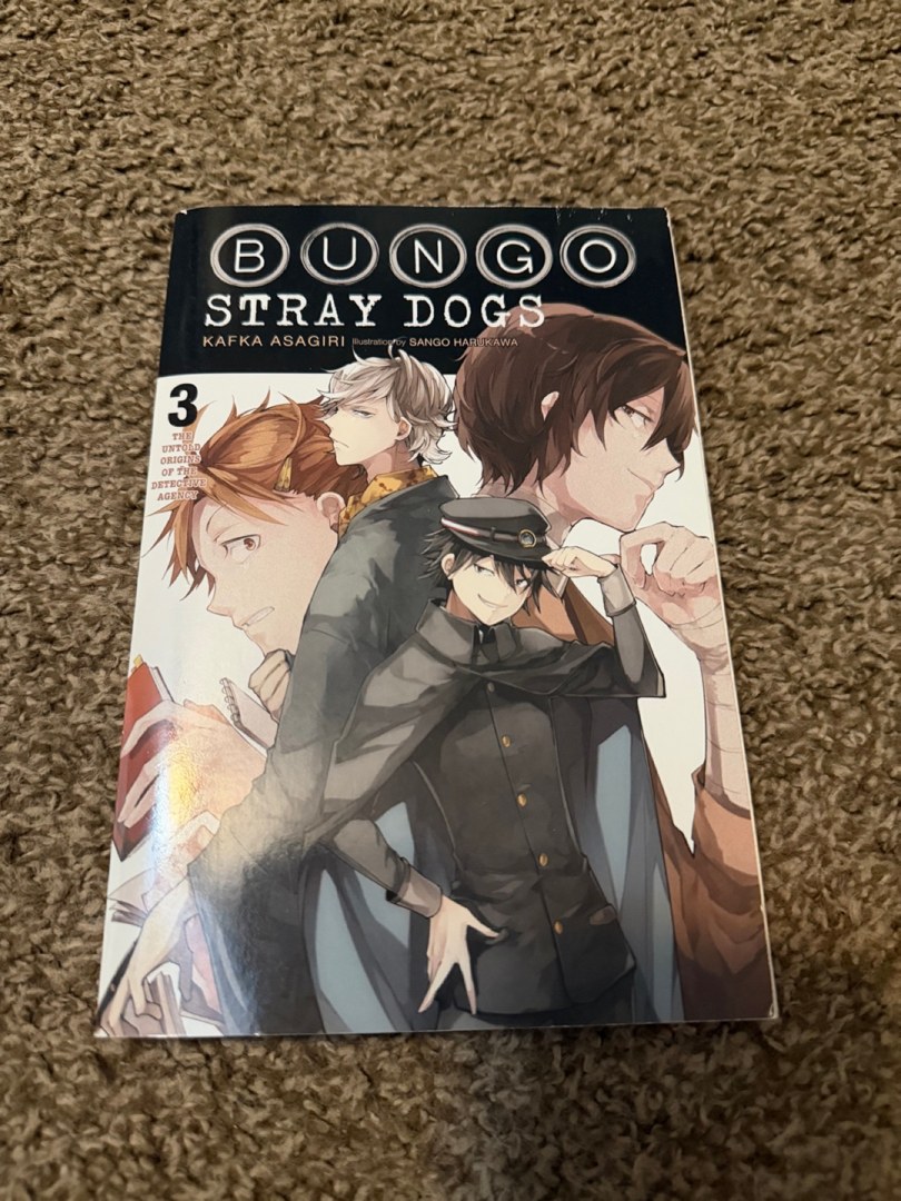 Bungo Stray Dogs, Vol. 3 (light Novel)