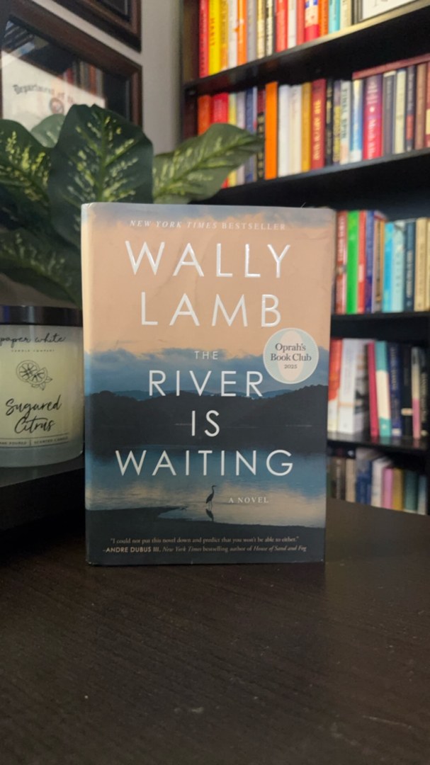 The River Is Waiting (Oprah's Book Club)