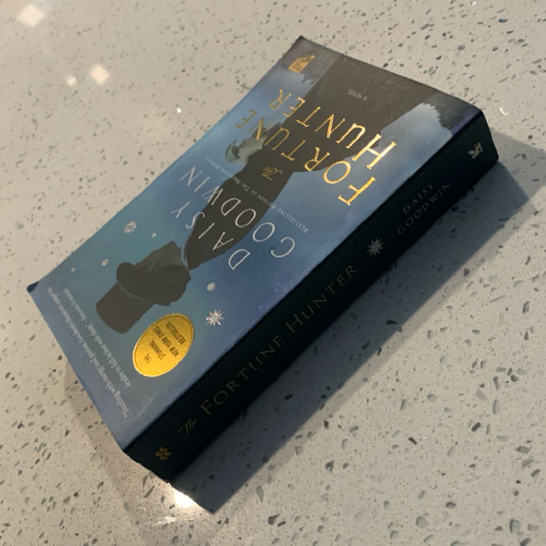 The Fortune Hunter