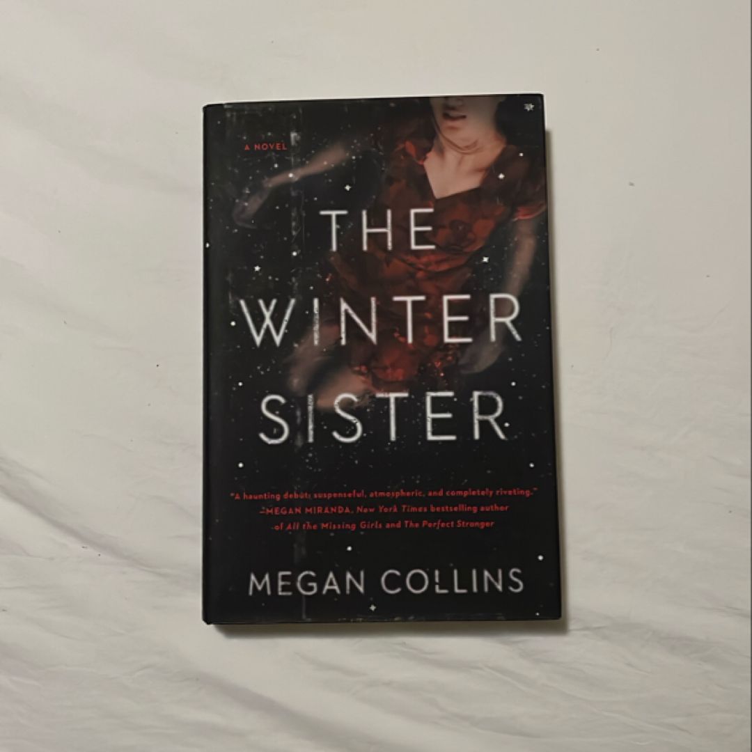 The Winter Sister
