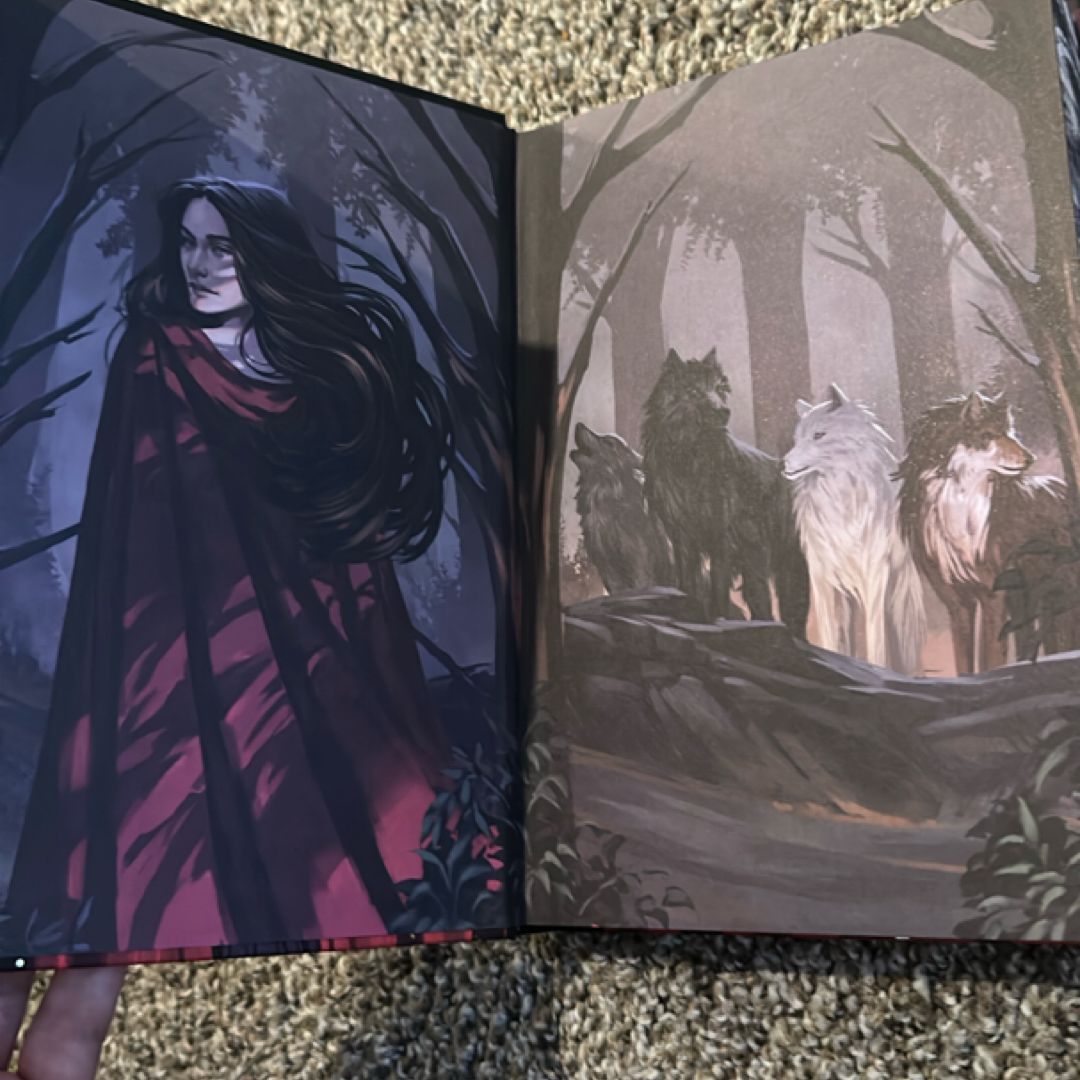 Into Their Woods