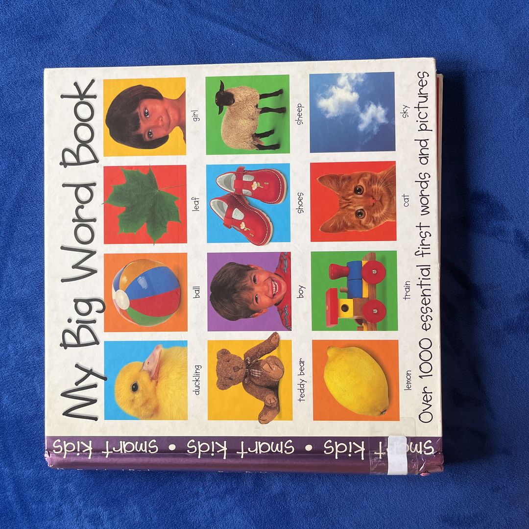 My Big Word Book by Roger Priddy