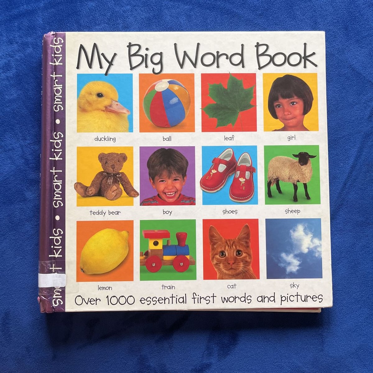 My Big Word Book by Roger Priddy, Hardcover | Pangobooks
