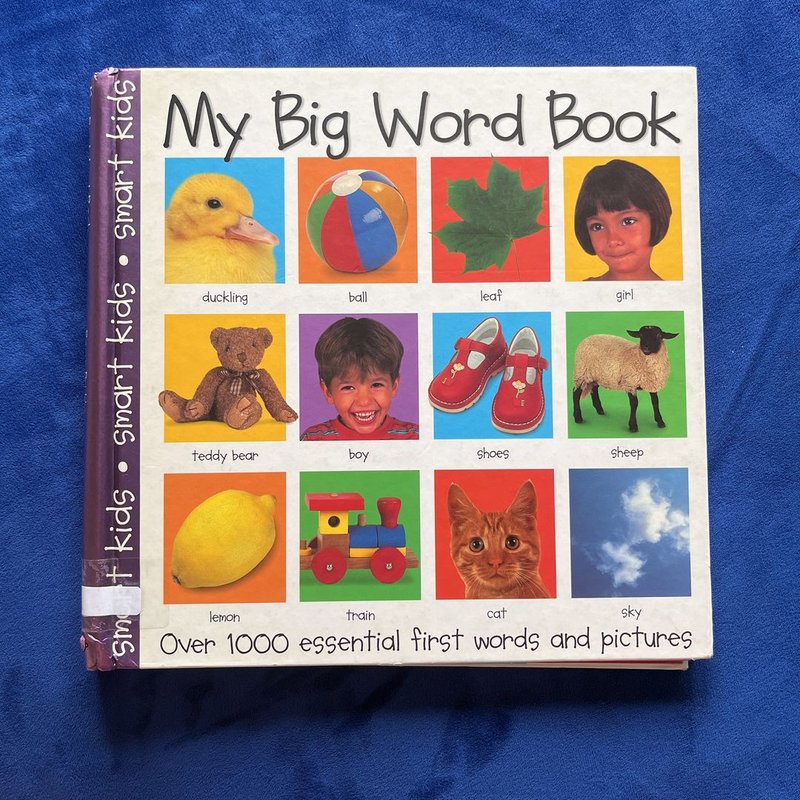 新品✨My Big Book of Words Amazon.com: My Big Book of Words: 9781861473257: Clarke, Isabel