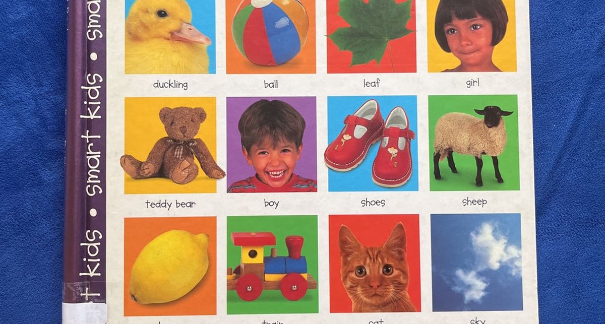 My Big Word Book by Roger Priddy, Hardcover | Pangobooks