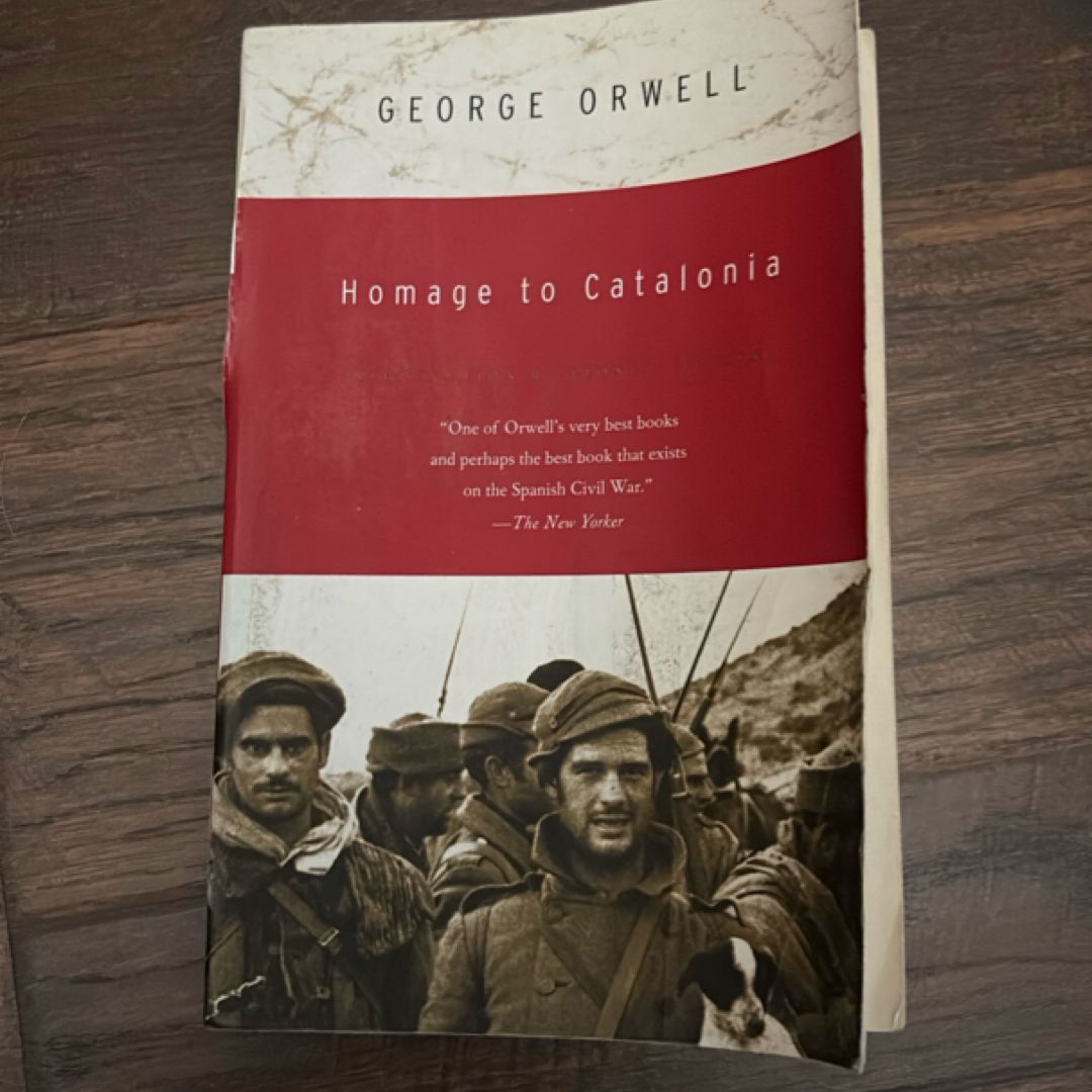 Sale image for 30bced1e-6dd7-46c5-9c5c-5dc822b903bf-b7olKPQ3dzOBUIJ84W9qtoSnhVC3