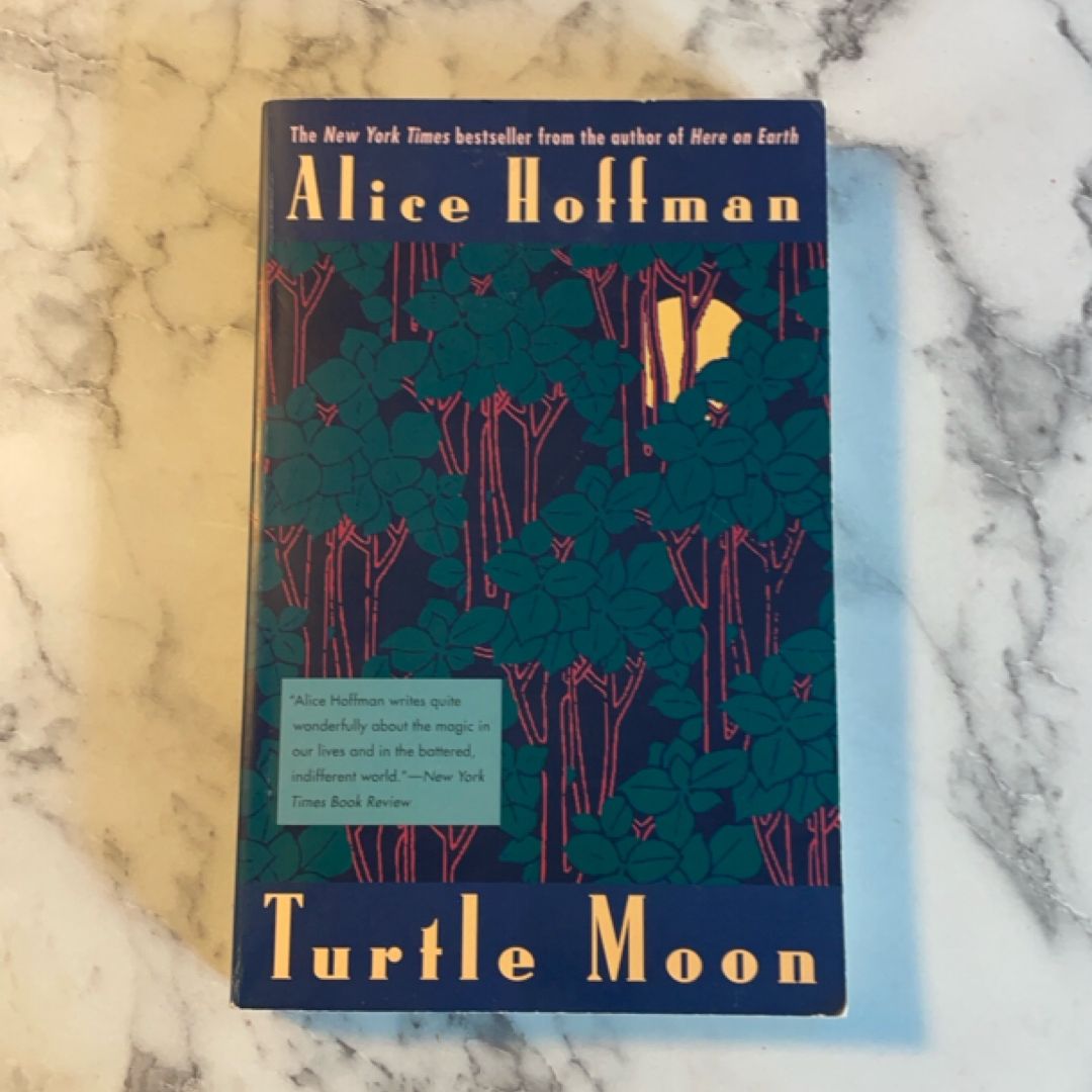 Turtle Moon