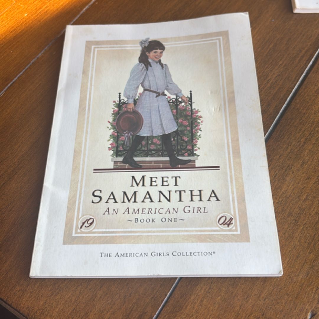 Meet Samantha