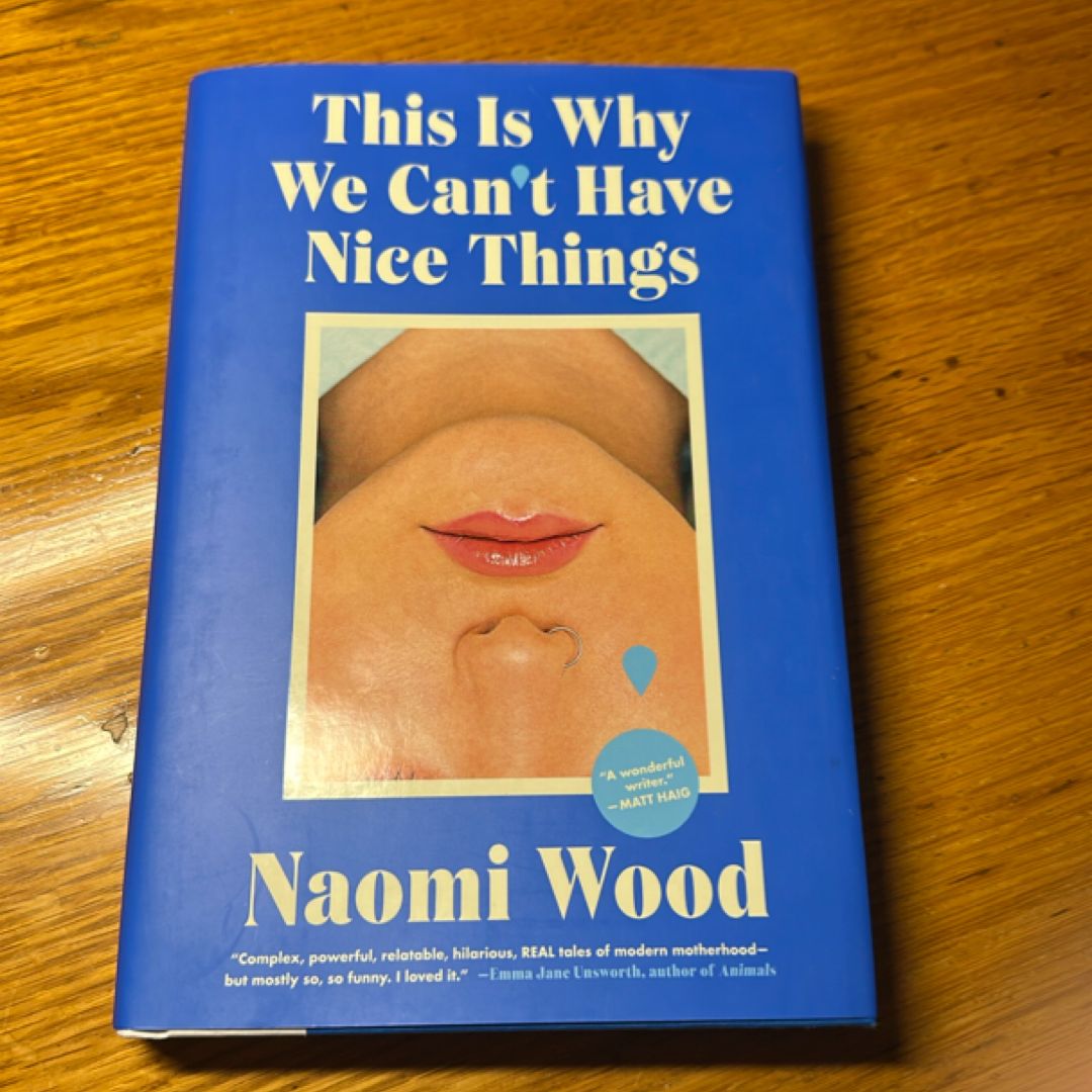 This Is Why We Can't Have Nice Things