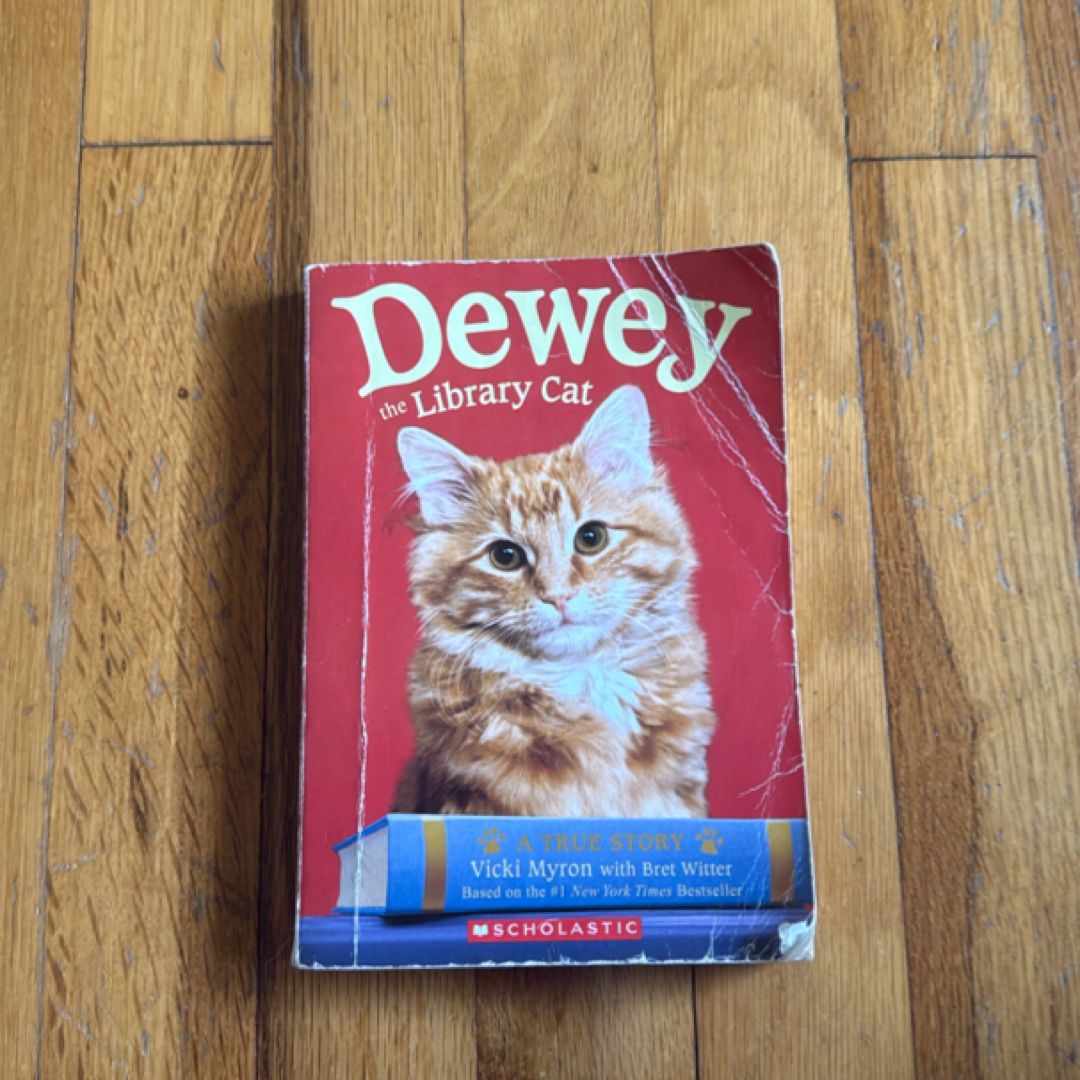 Dewey the Library Cat