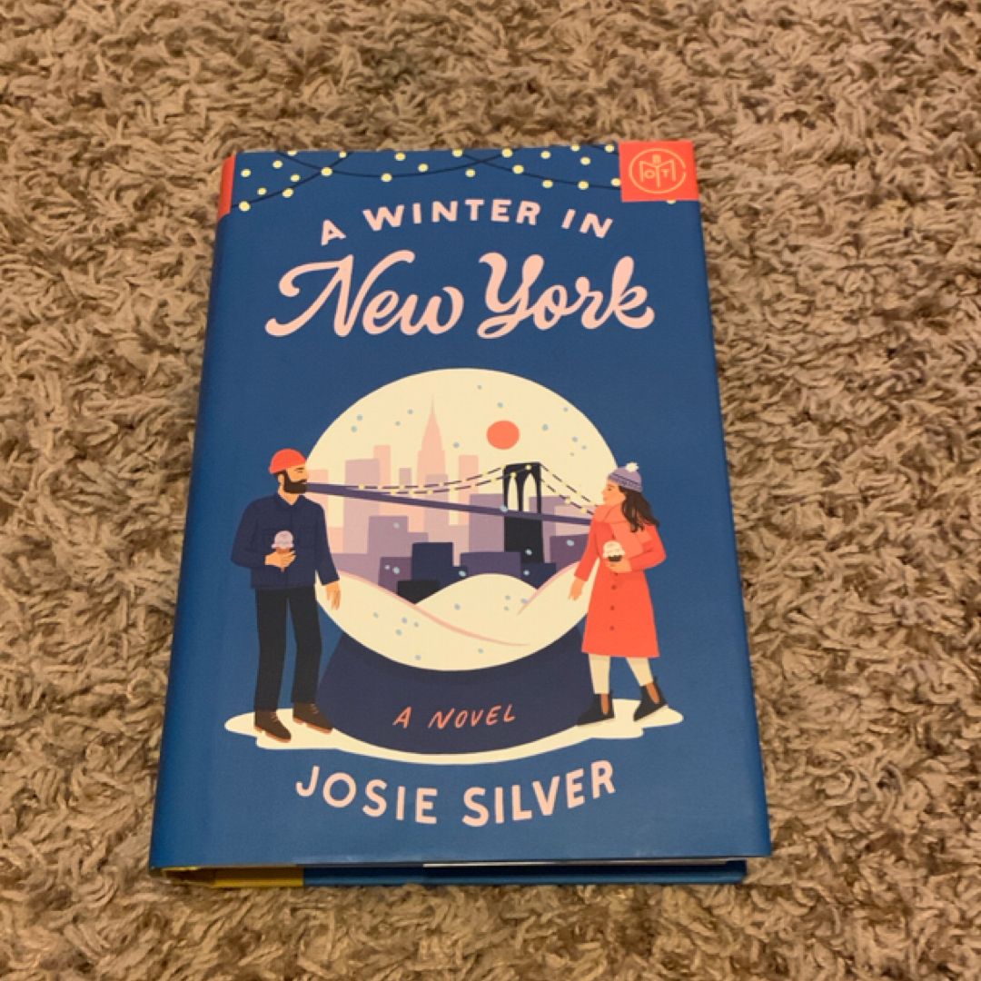 A Winter in New York