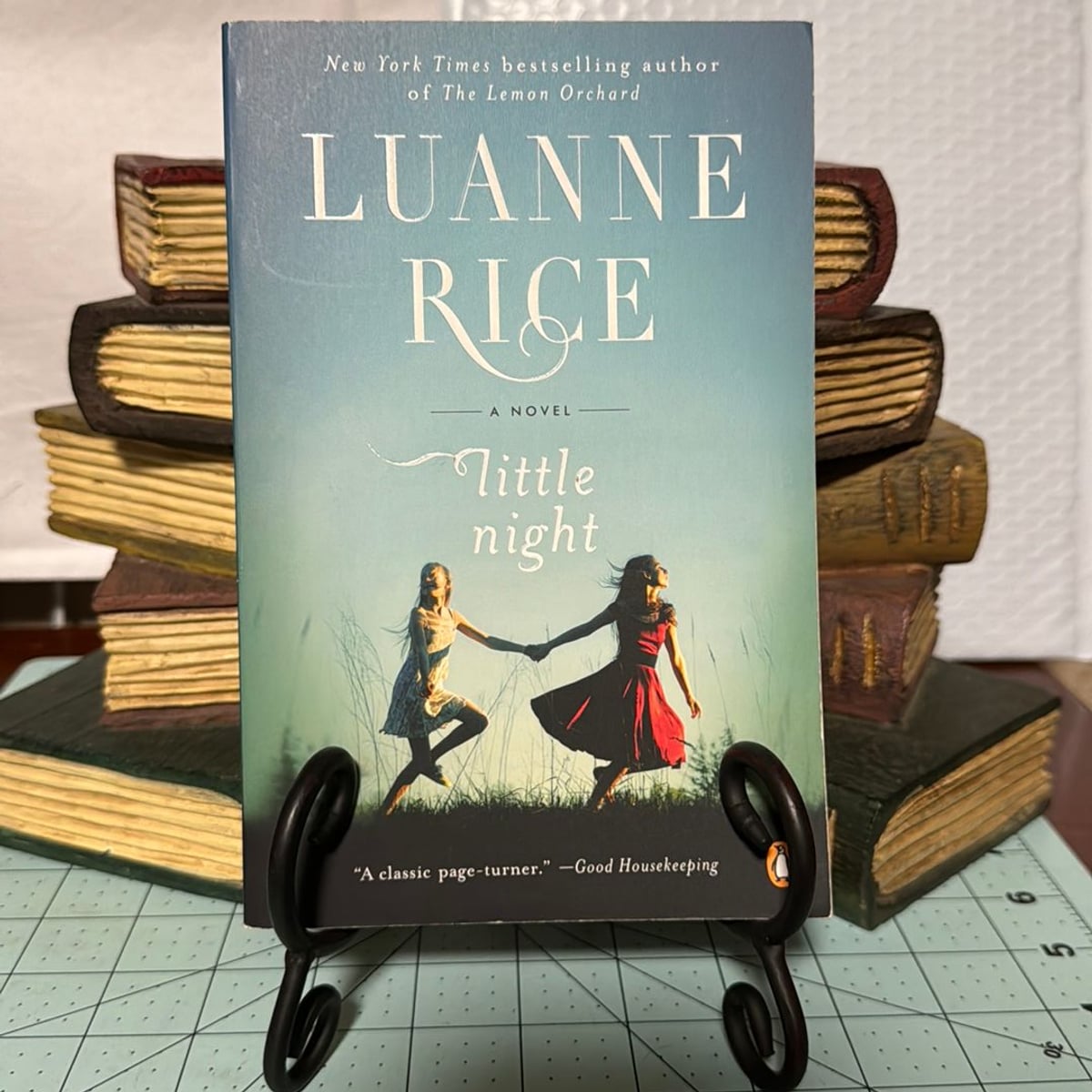 Little Night by Luanne Rice