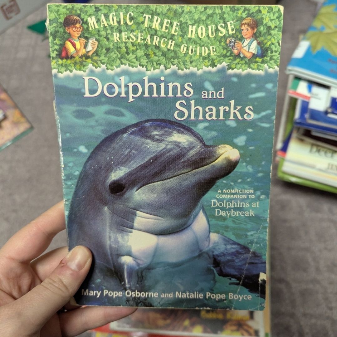 Dolphins and Sharks