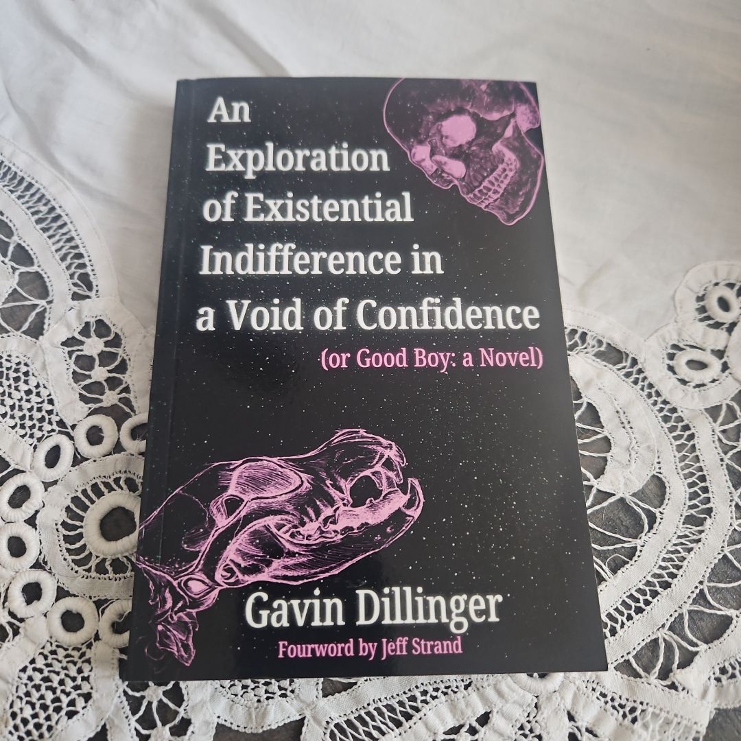 An Exploration of Existential Indifference in a Void of Confidence (or Good Boy: a Novel)