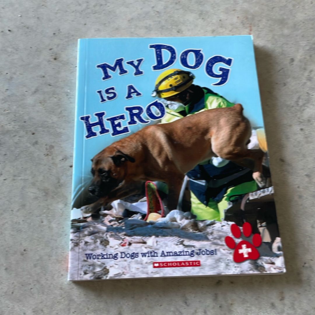 My Dog Is a Hero
