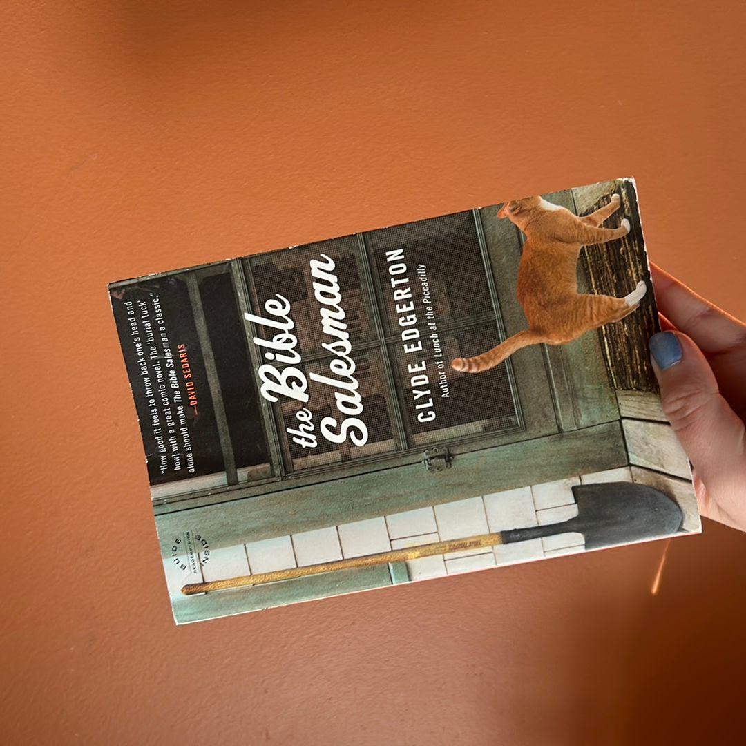 The Bible Salesman: a Novel