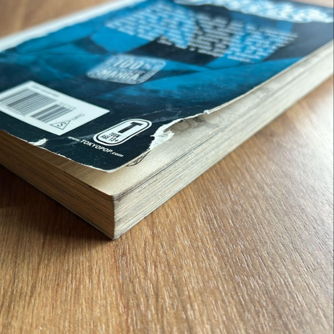 The Candidate for Goddess