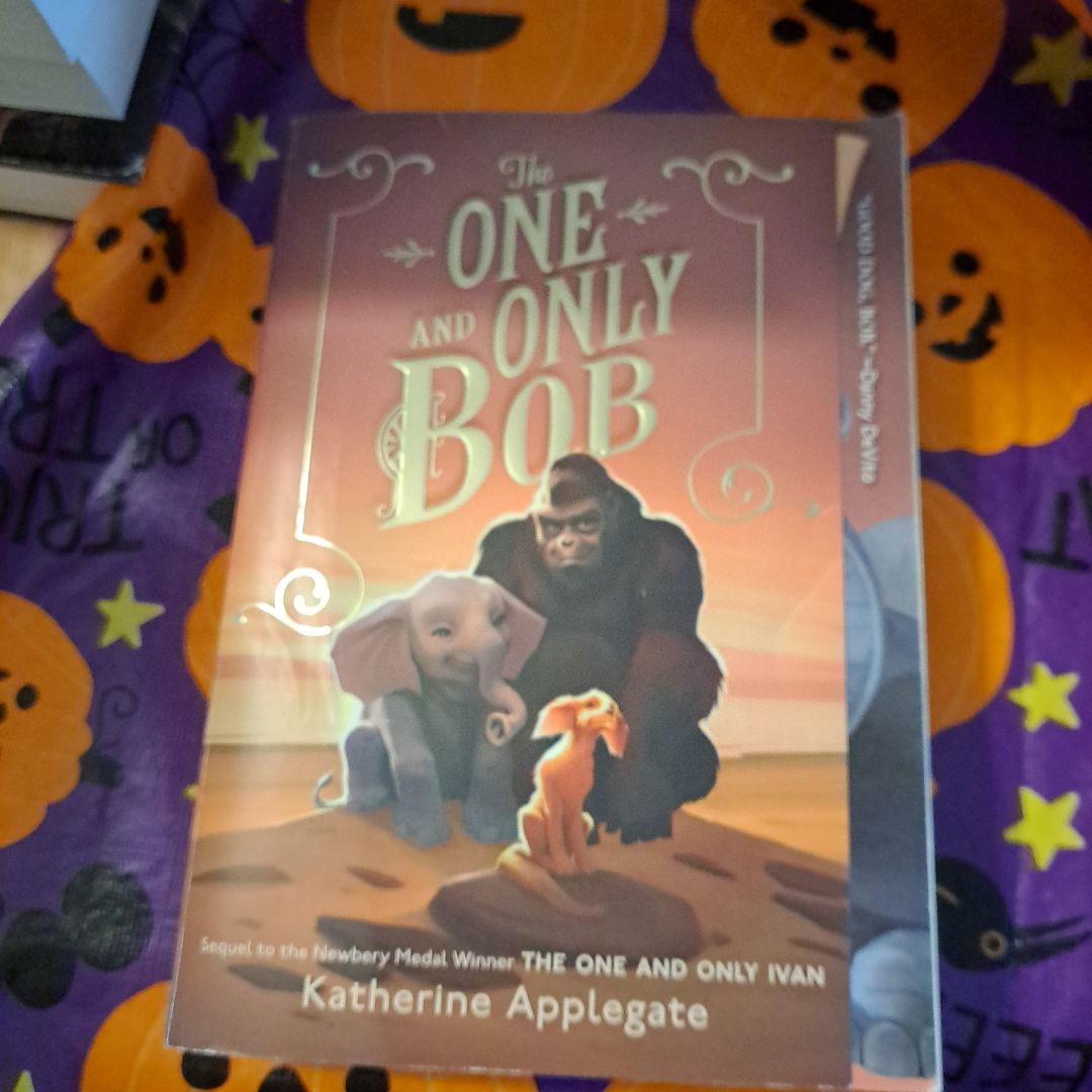 The One and Only Bob