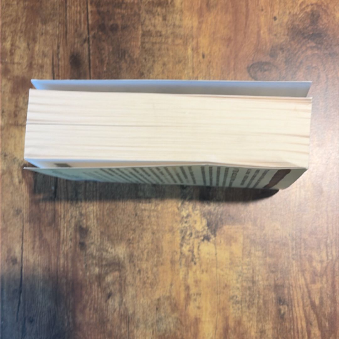 The Savage Detectives