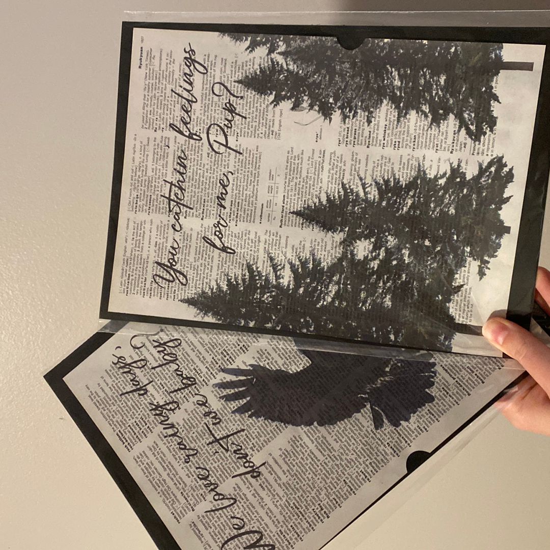 Ravenhood Decor - unopened