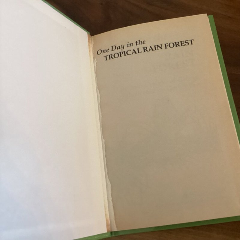 One Day in the Tropical Rain Forest