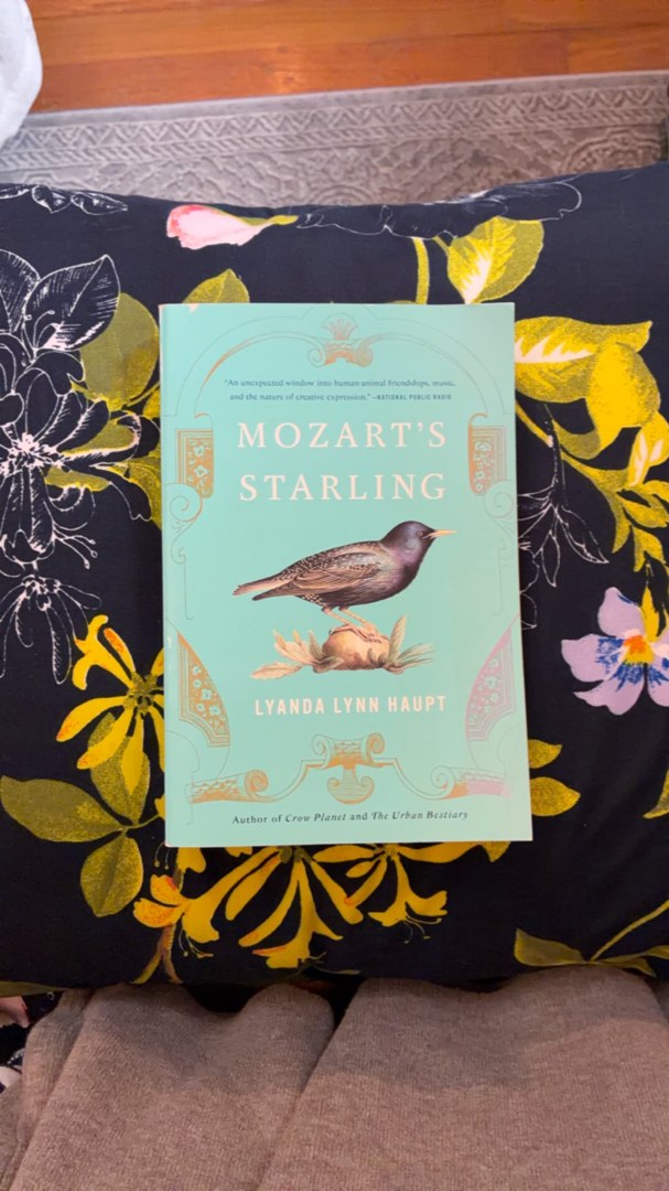 Mozart's Starling