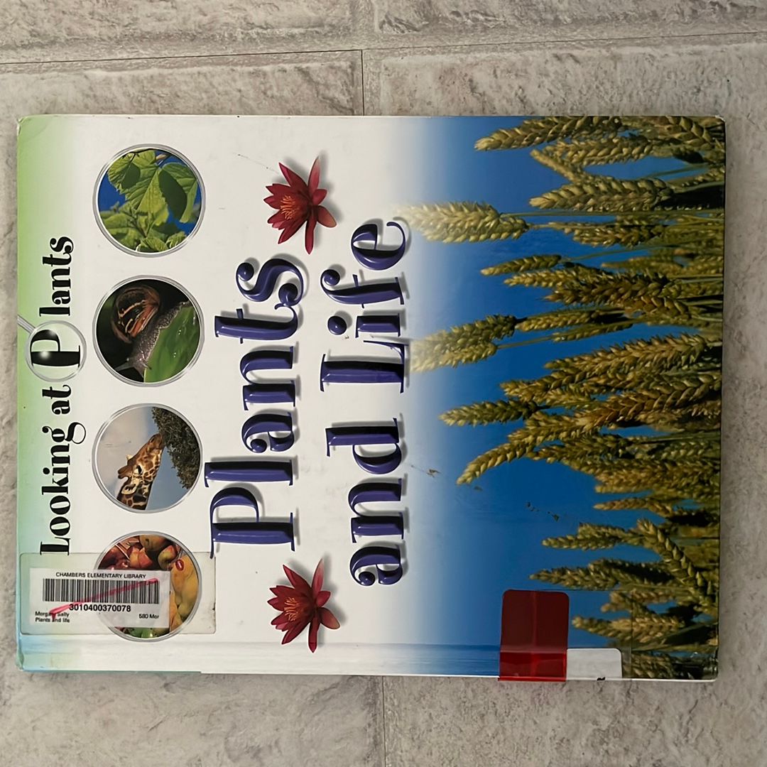 Plants and Life