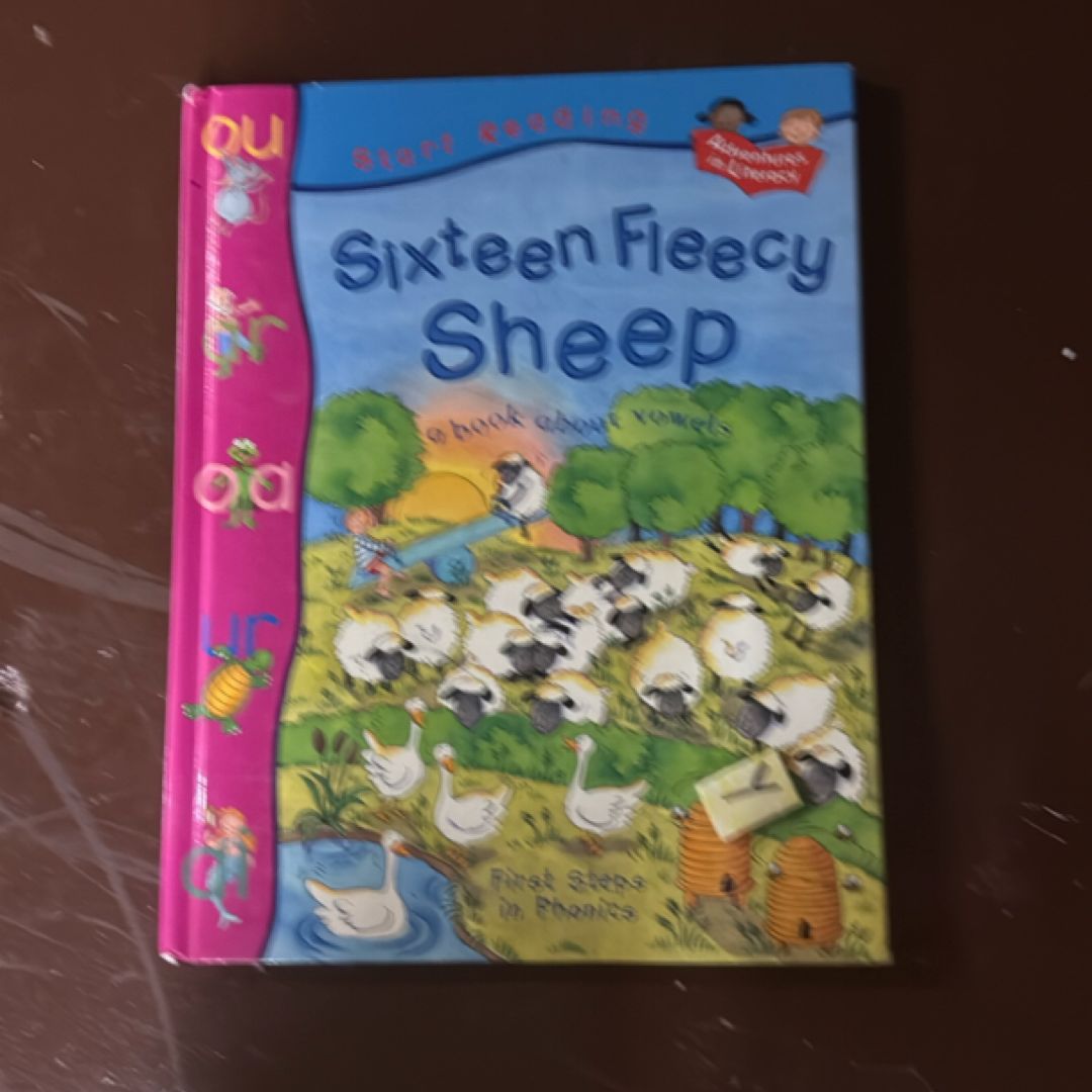 Sixteen Fleecy Sheep