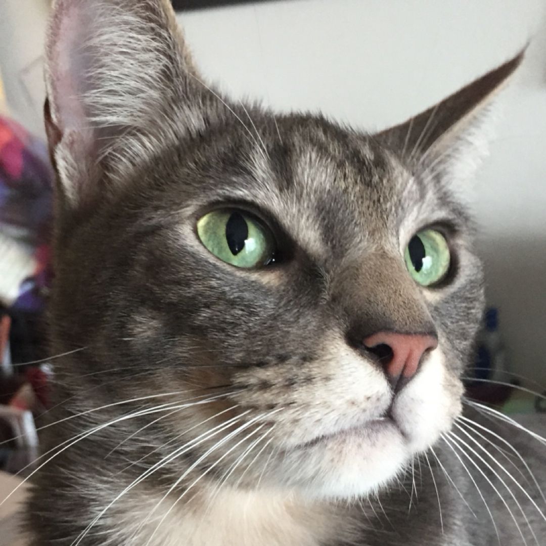 Ramsey’s Memorial Fund