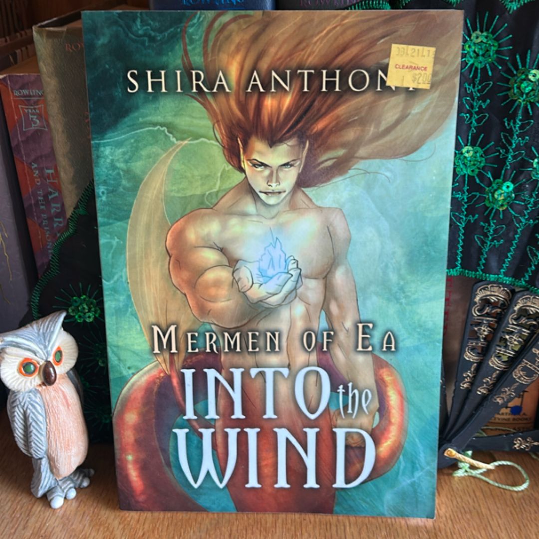 Into the Wind