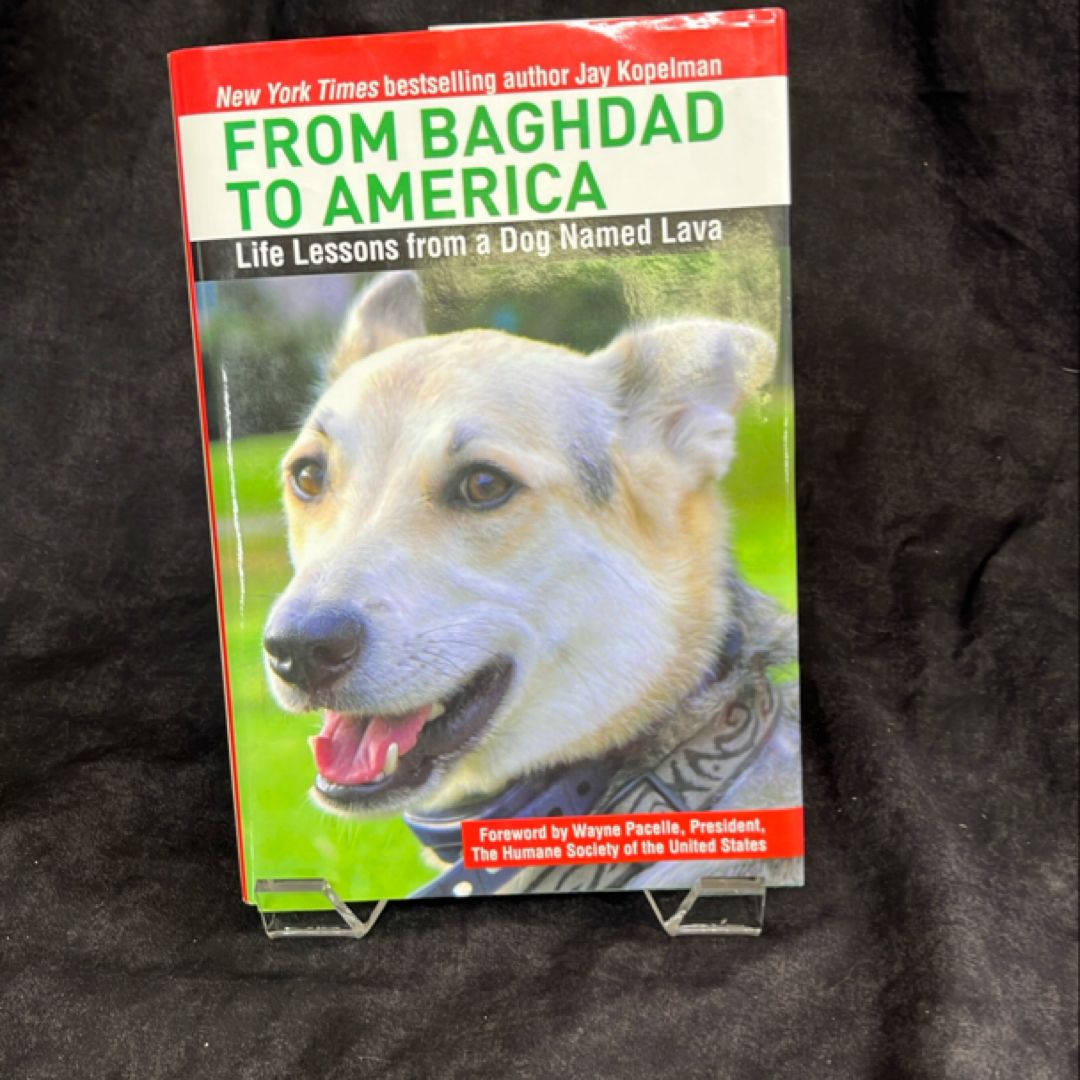 From Baghdad to America