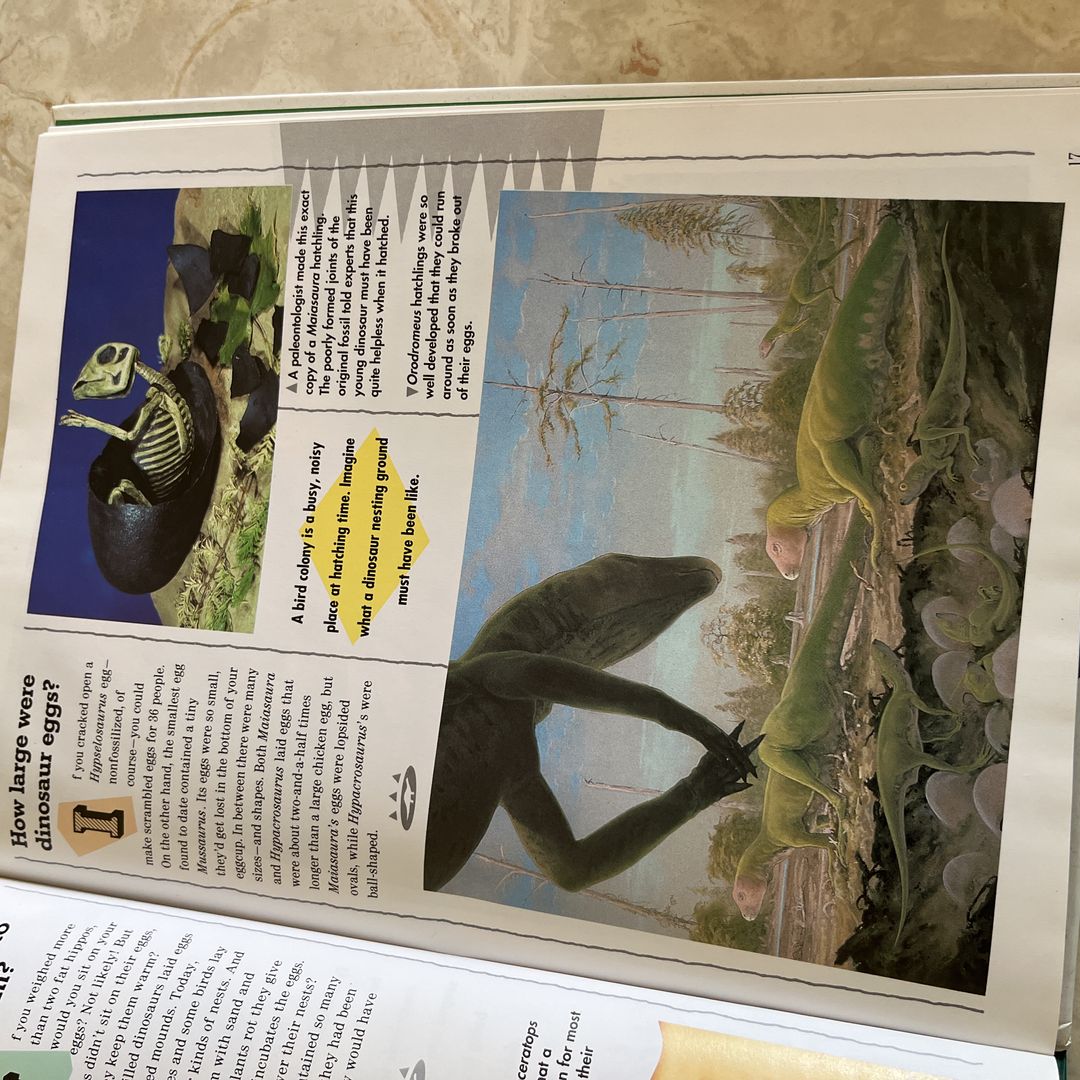 Dinosaur Question and Answer Book by Owl Magazine Editors