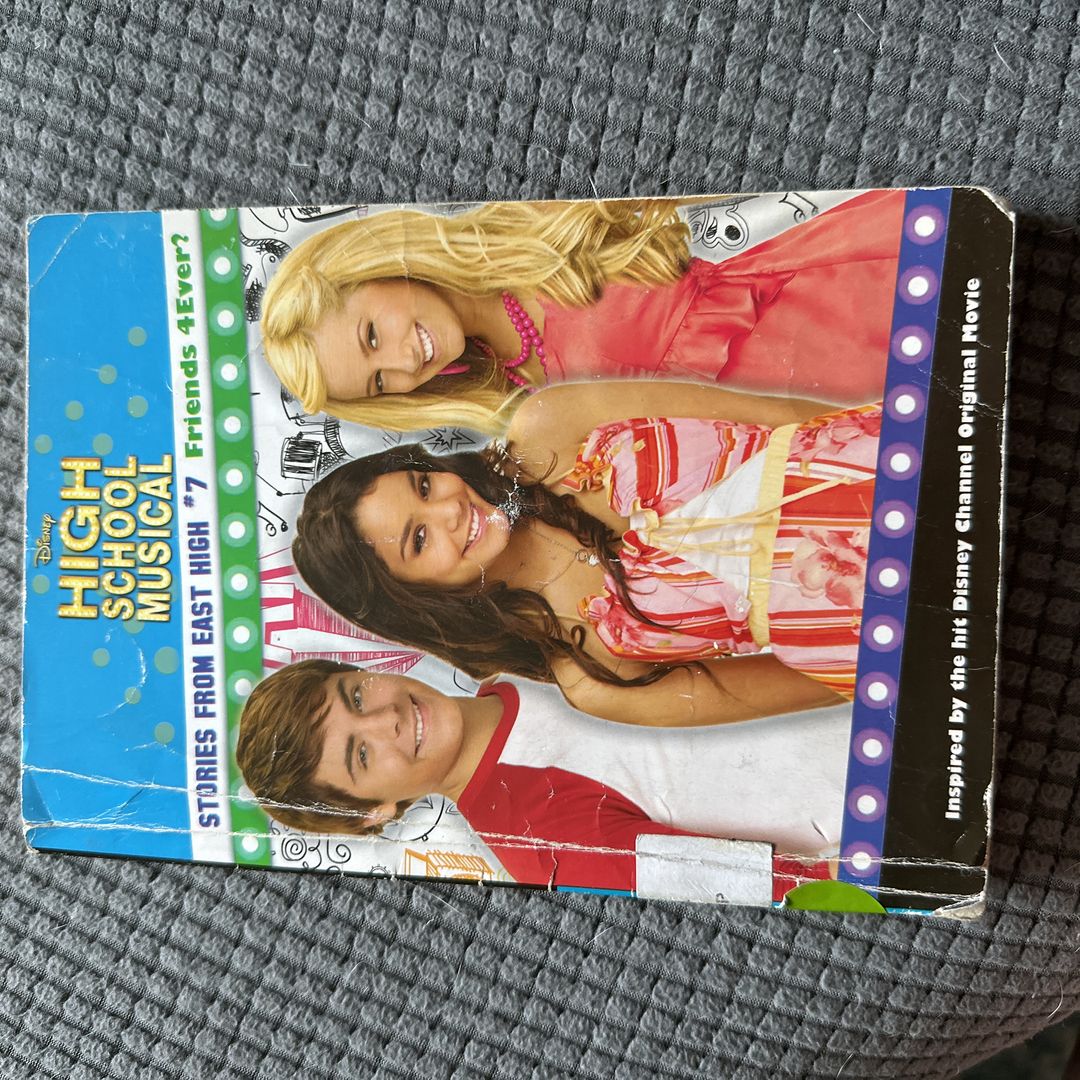Disney High School Musical: Stories from East High Friends 4Ever?