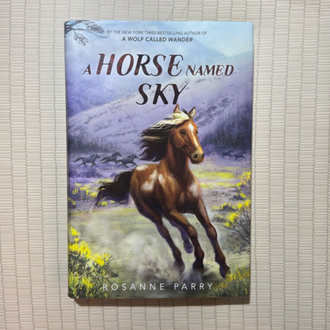 A Horse Named Sky