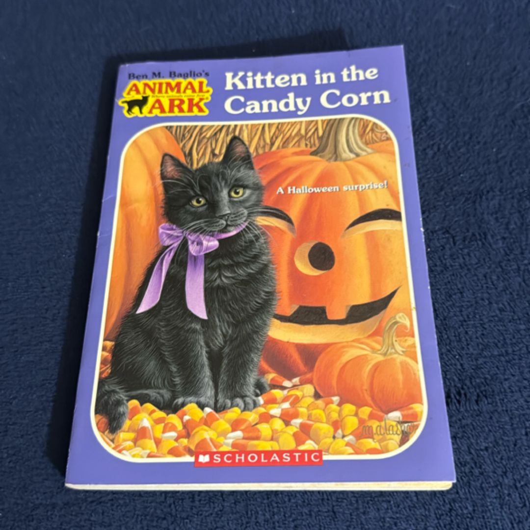 Kitten in the Candycorn