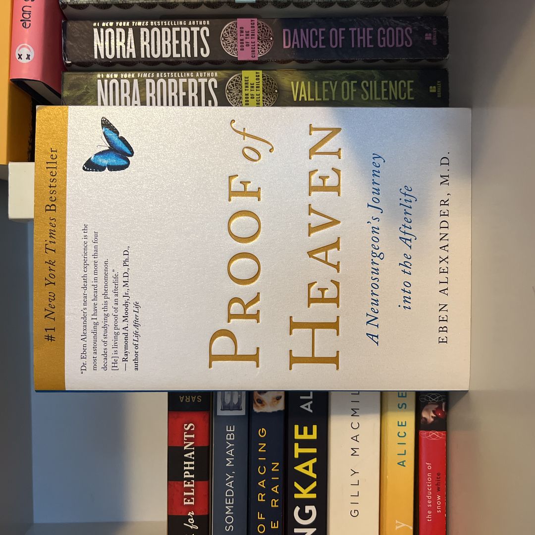 Proof of Heaven