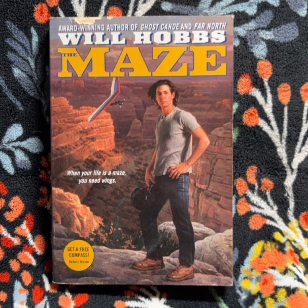 The Maze