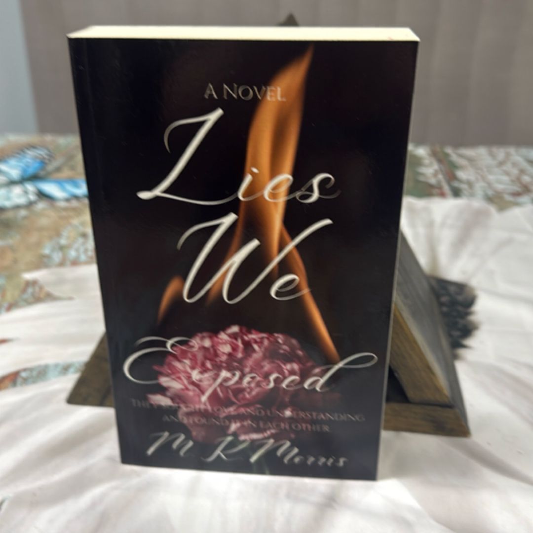 Lies We Exposed (Lies Series Book 3)