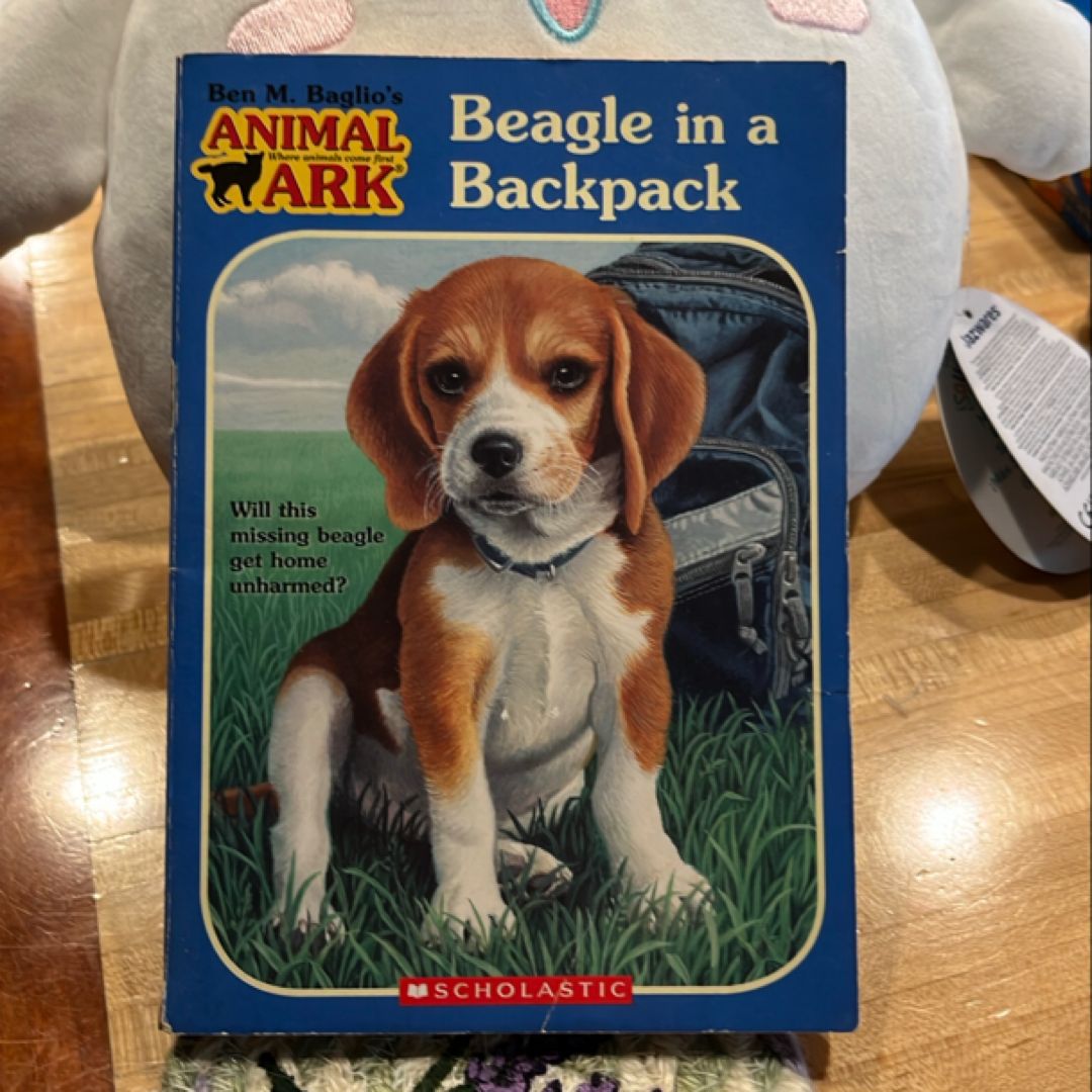 Beagle in a Backpack