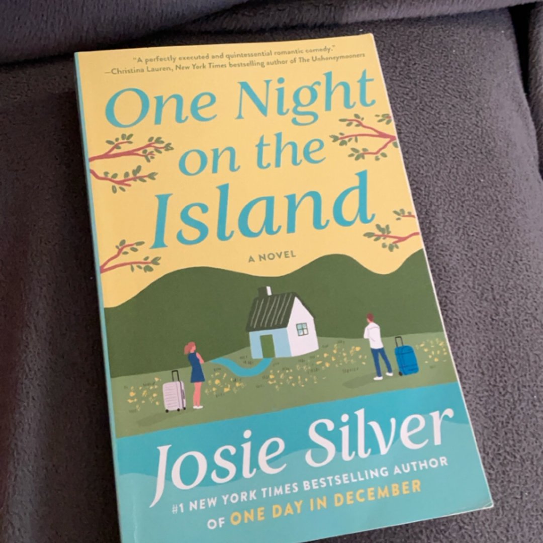 One Night on the Island