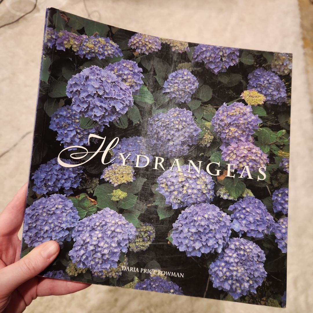 Hydrangeas