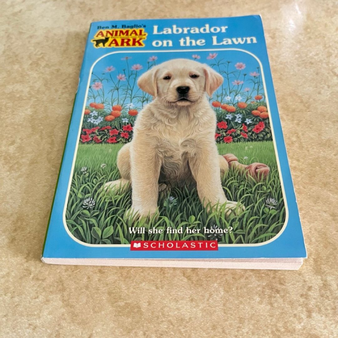 Labrador on the Lawn