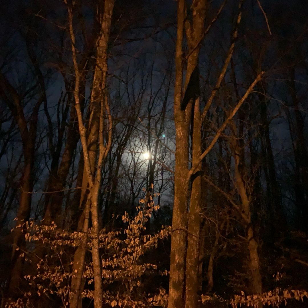 The Smoky Mountains Reader