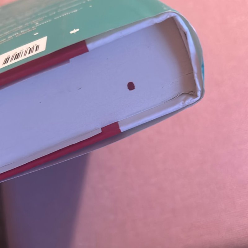 Christmas Shopaholic