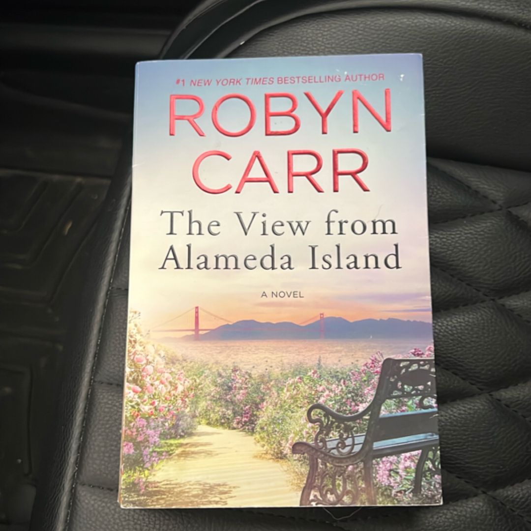 The View from Alameda Island