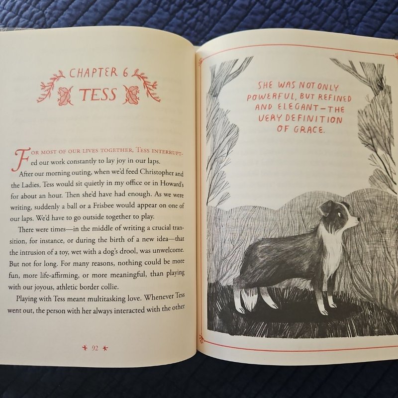 How to Be a Good Creature