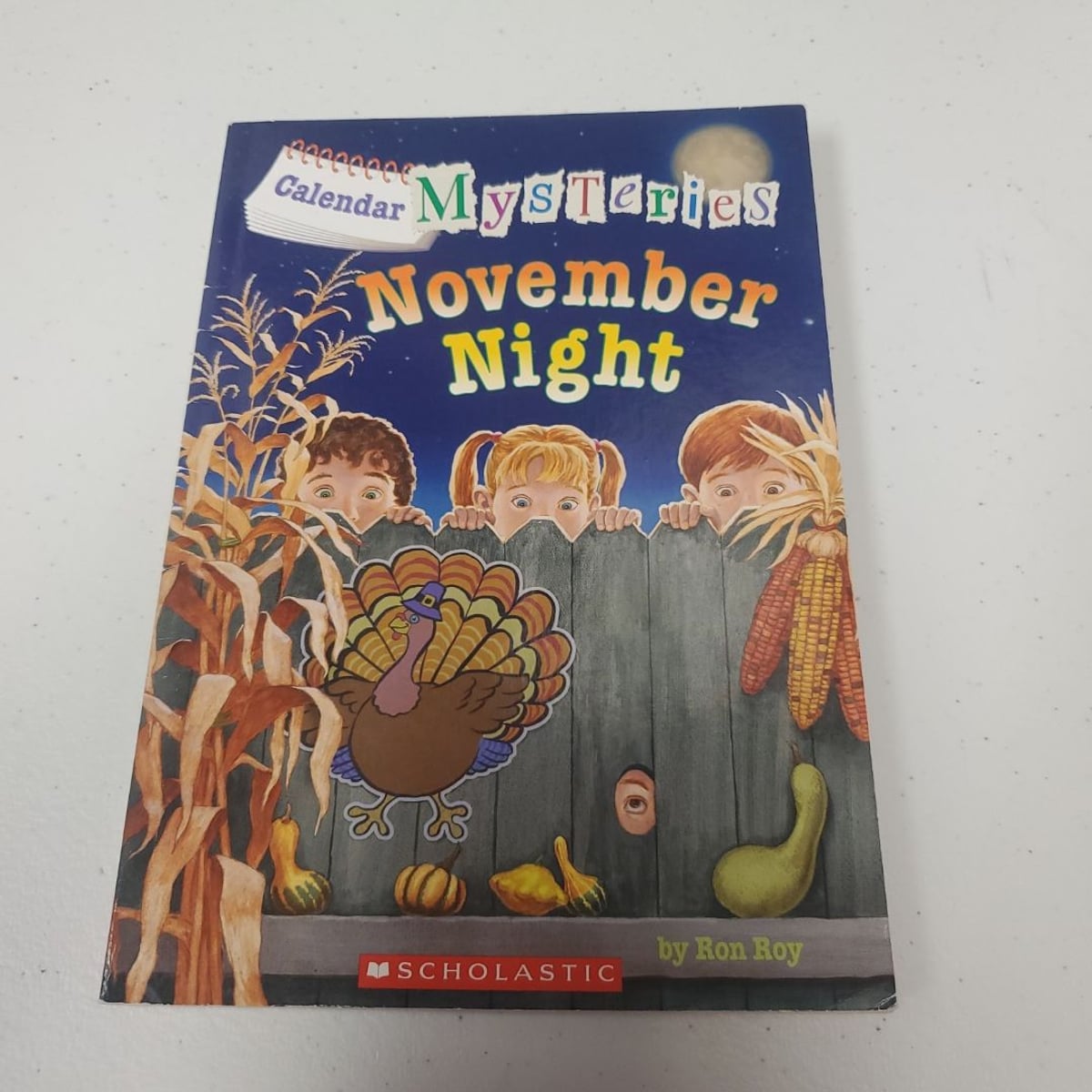 November Night by Ron Roy