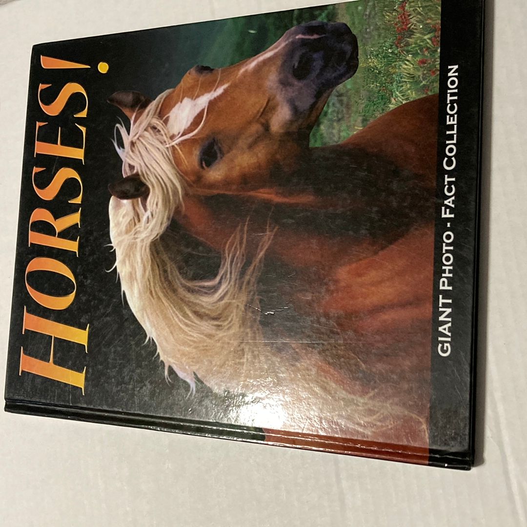 Horses!